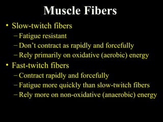 Muscle Fibers
• Slow-twitch fibers
– Fatigue resistant
– Don’t contract as rapidly and forcefully
– Rely primarily on oxidative (aerobic) energy
• Fast-twitch fibers
– Contract rapidly and forcefully
– Fatigue more quickly than slow-twitch fibers
– Rely more on non-oxidative (anaerobic) energy
 
