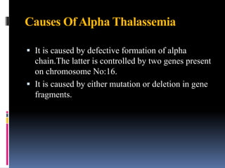 Causes OfAlpha Thalassemia
 It is caused by defective formation of alpha
chain.The latter is controlled by two genes present
on chromosome No:16.
 It is caused by either mutation or deletion in gene
fragments.
 