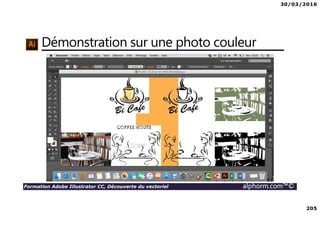 30/03/2016
205
Formation Adobe Illustrator CC, Découverte du vectoriel alphorm.com™©
Démonstration sur une photo couleur
 