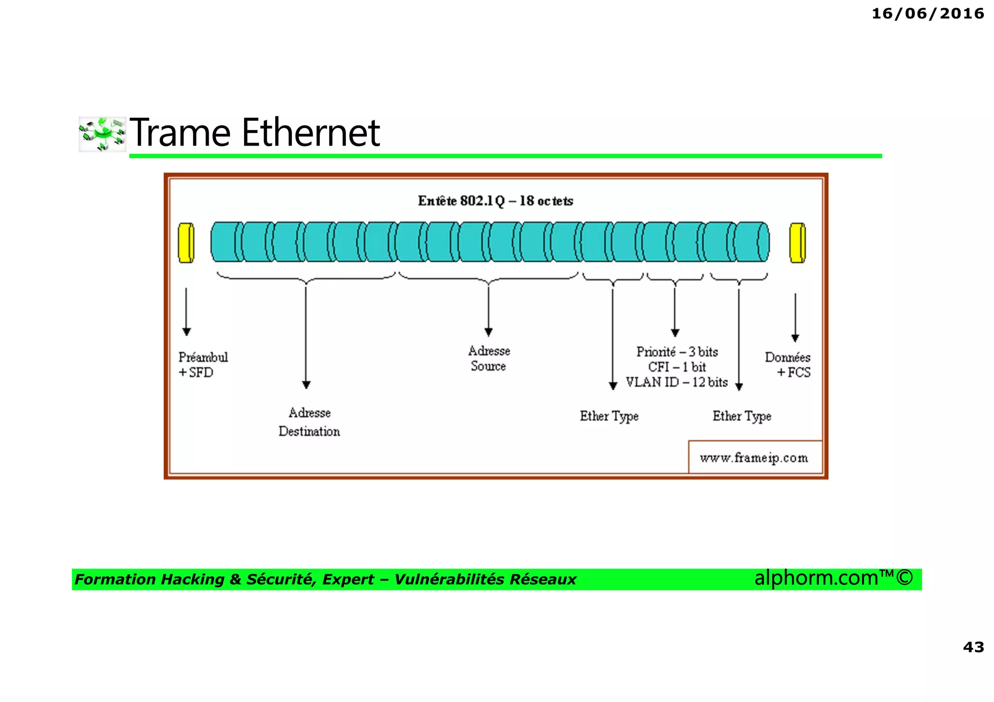 16/06/2016
43
Formation Hacking & Sécurité, Expert – Vulnérabilités Réseaux alphorm.com™©
Trame Ethernet
 