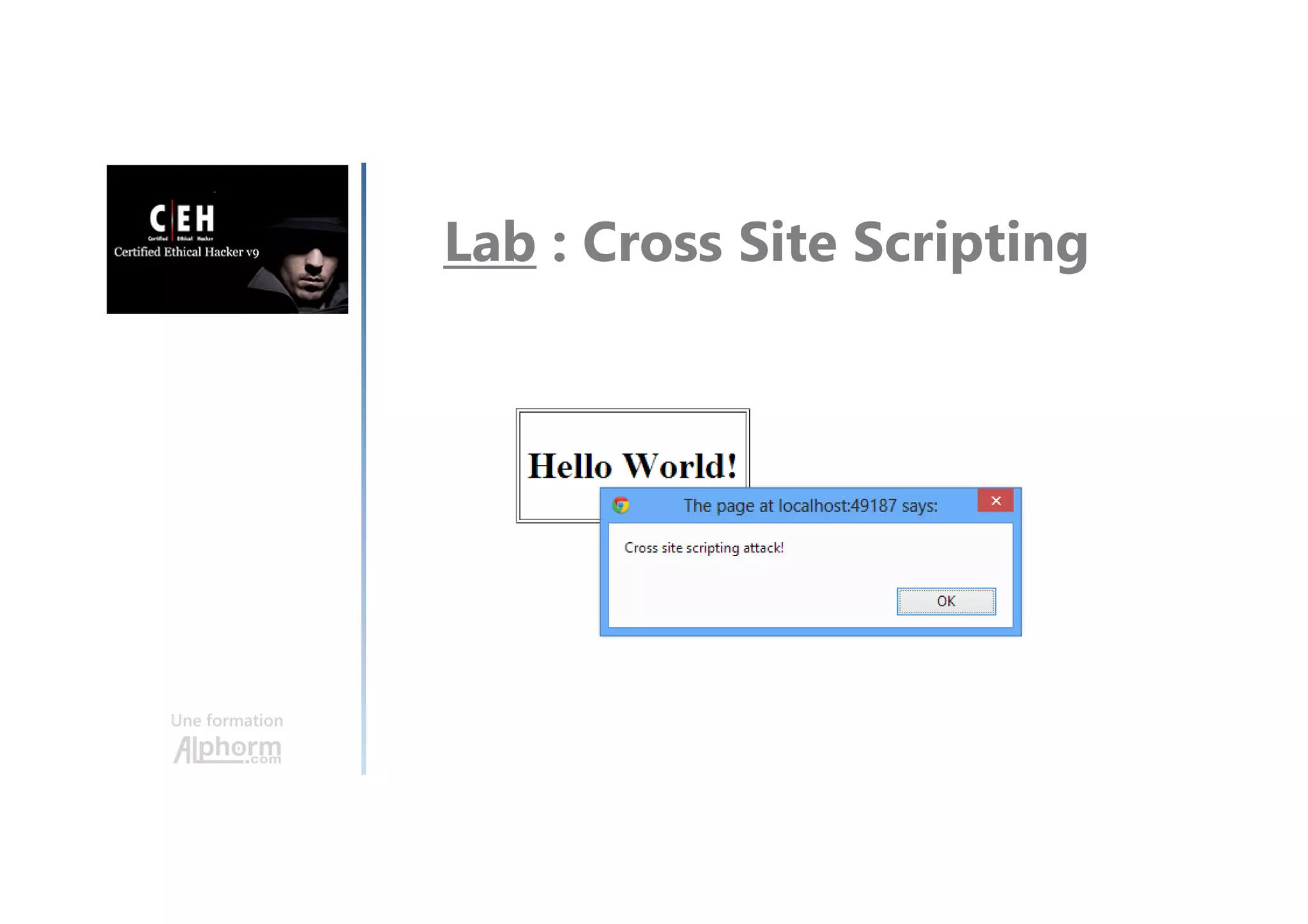 Une formation
Lab : Cross Site Scripting
 