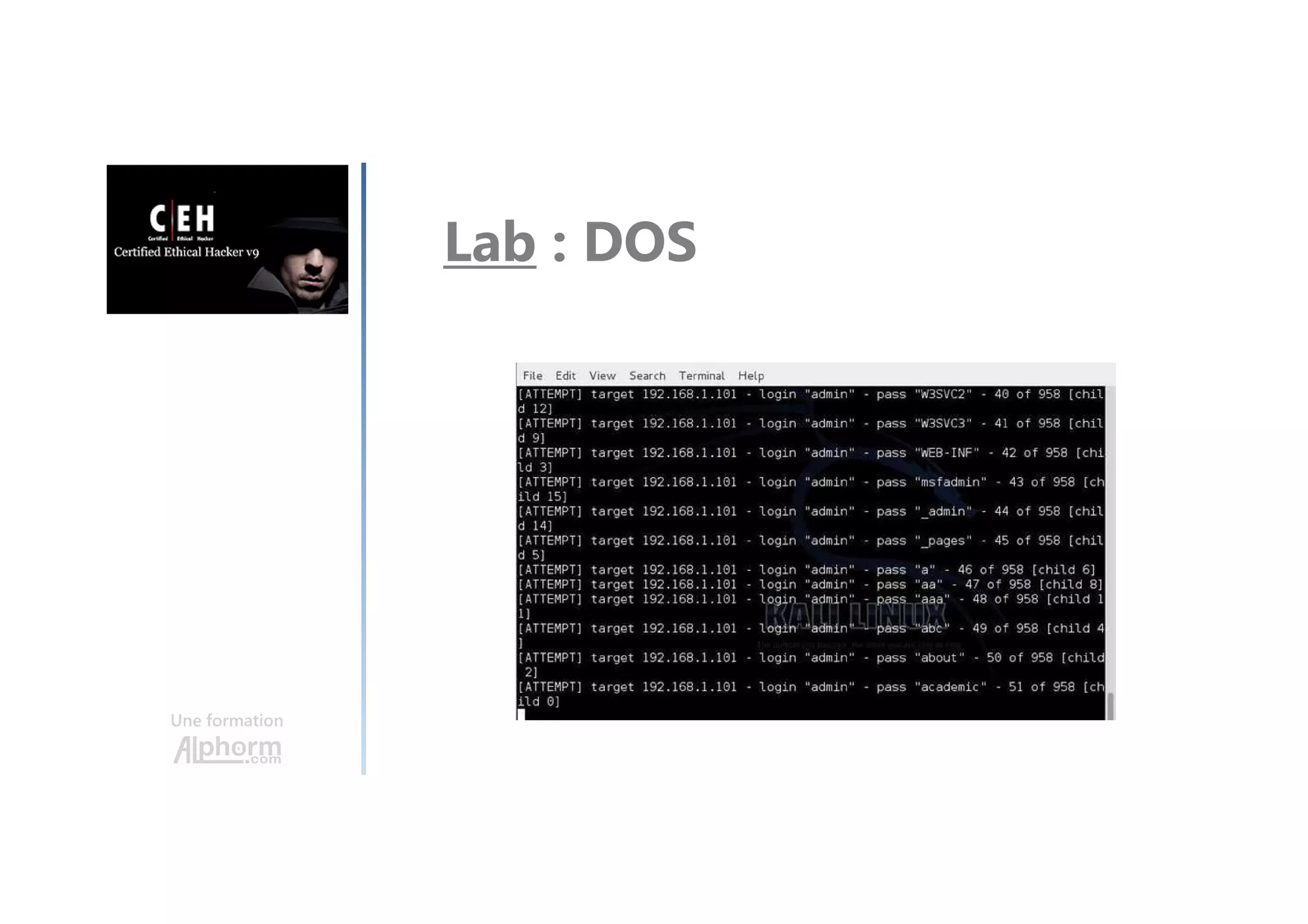 Une formation
Lab : DOS
 