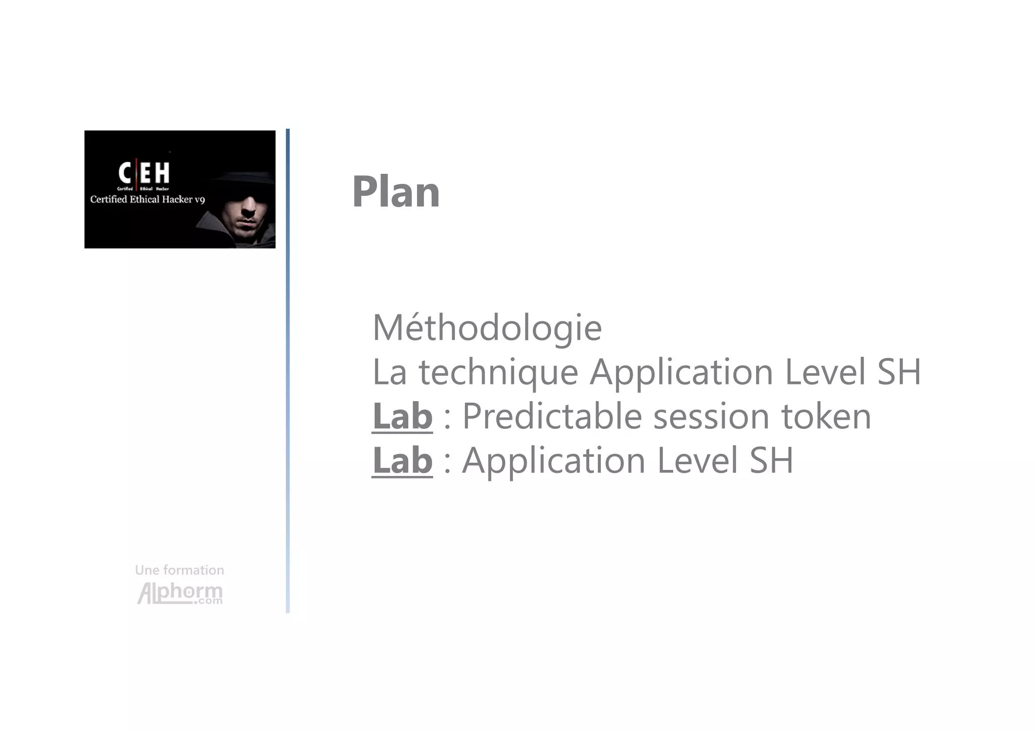 Une formation
Méthodologie
La technique Application Level SH
Lab : Predictable session token
Lab : Application Level SH
Plan
 