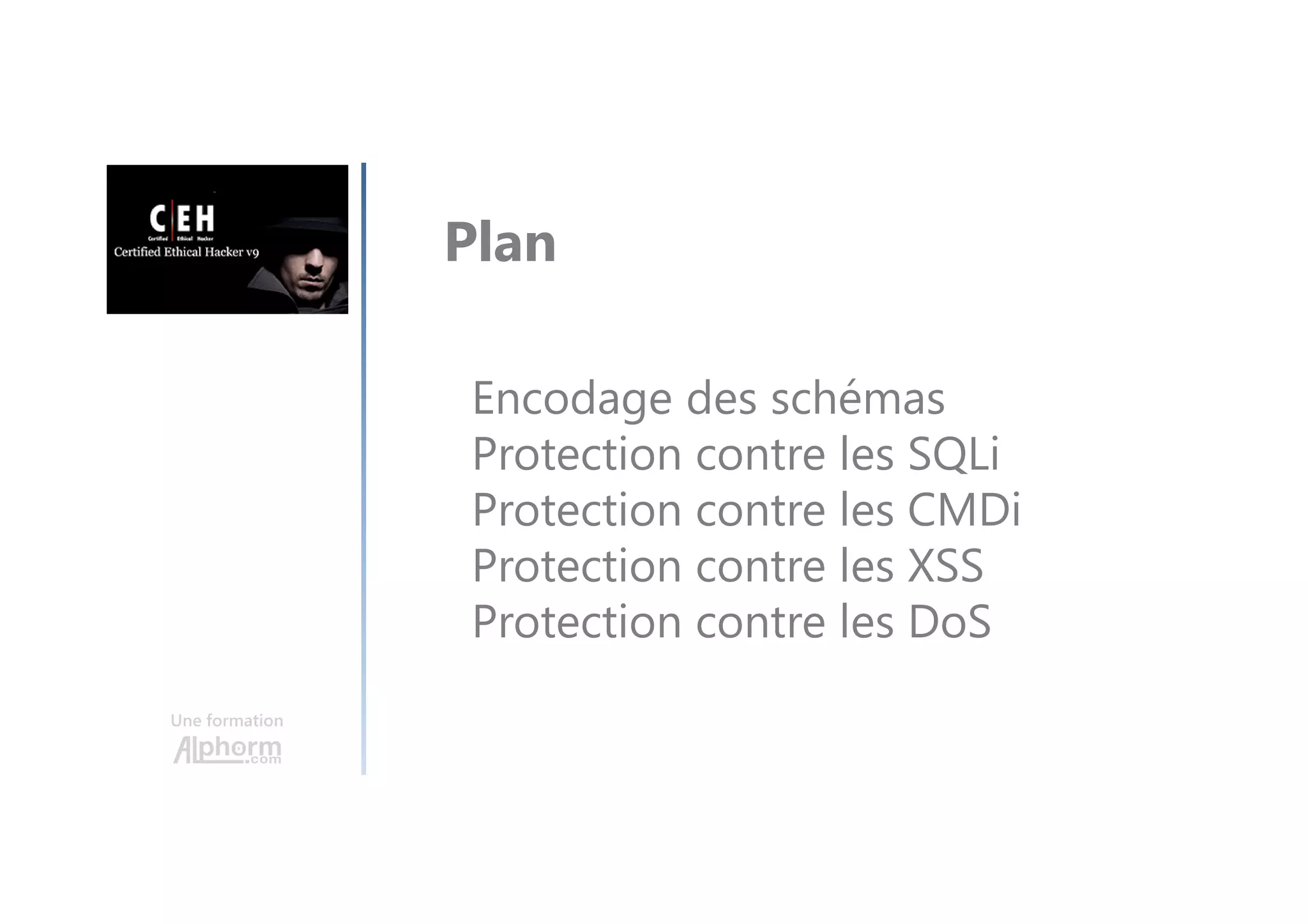Une formation
Encodage des schémas
Protection contre les SQLi
Protection contre les CMDi
Protection contre les XSS
Protection contre les DoS
Plan
 