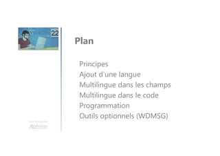 Une formation
Principes
Ajout d’une langue
Multilingue dans les champs
Multilingue dans le code
Programmation
Outils optionnels (WDMSG)
Plan
 