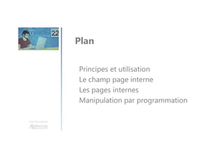 Une formation
Principes et utilisation
Le champ page interne
Les pages internes
Manipulation par programmation
Plan
 