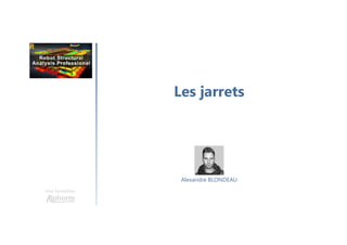 Les jarrets
Une formation
Alexandre BLONDEAU
 