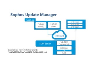 Sophos Update Manager
Update
Credentials
entrepôt
CID
SUM Server
Sophos
Sophos
Fichier
client
Fichier
client
entrepôt
entrepôt
entrepôt
Internet
Exemple de nom de fichier client :
3087a7f568c7fee54401f9c8e1008819.xml
 