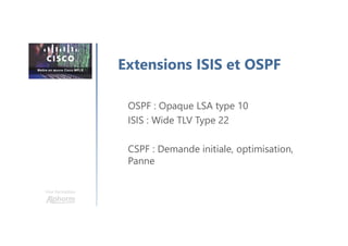 Une formation
OSPF : Opaque LSA type 10
ISIS : Wide TLV Type 22
CSPF : Demande initiale, optimisation,
Panne
Extensions ISIS et OSPF
 