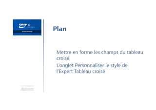 Une formation
Mettre en forme les champs du tableau
croisé
L’onglet Personnaliser le style de
l’Expert Tableau croisé
Plan
 