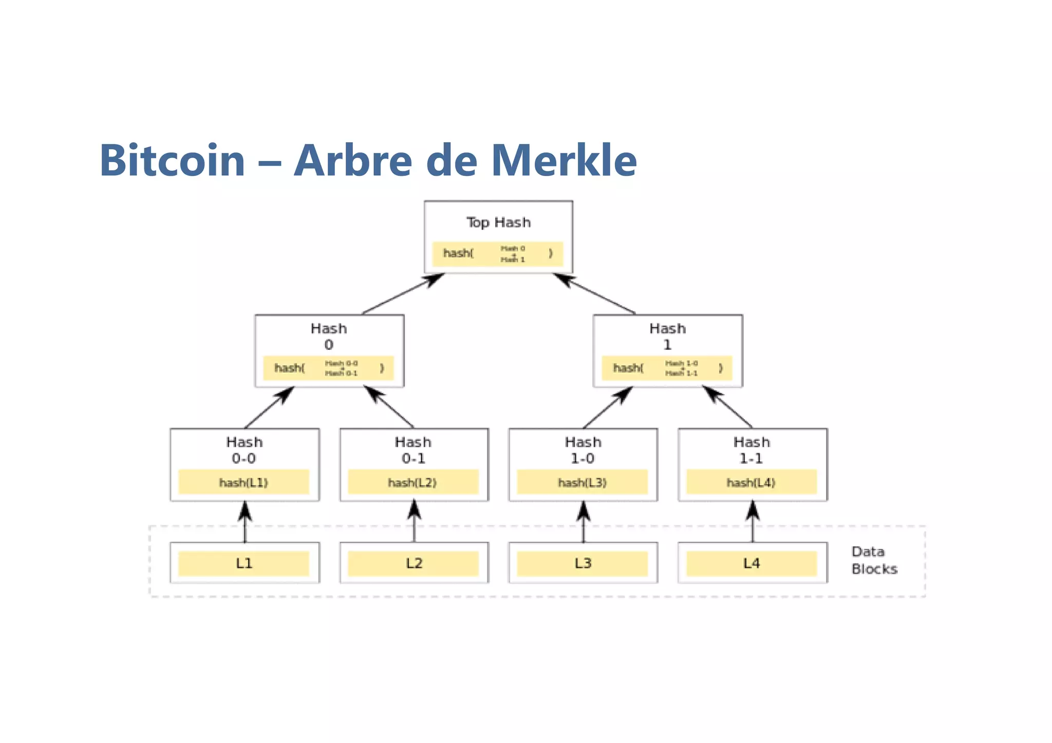 Bitcoin – Arbre de Merkle
 