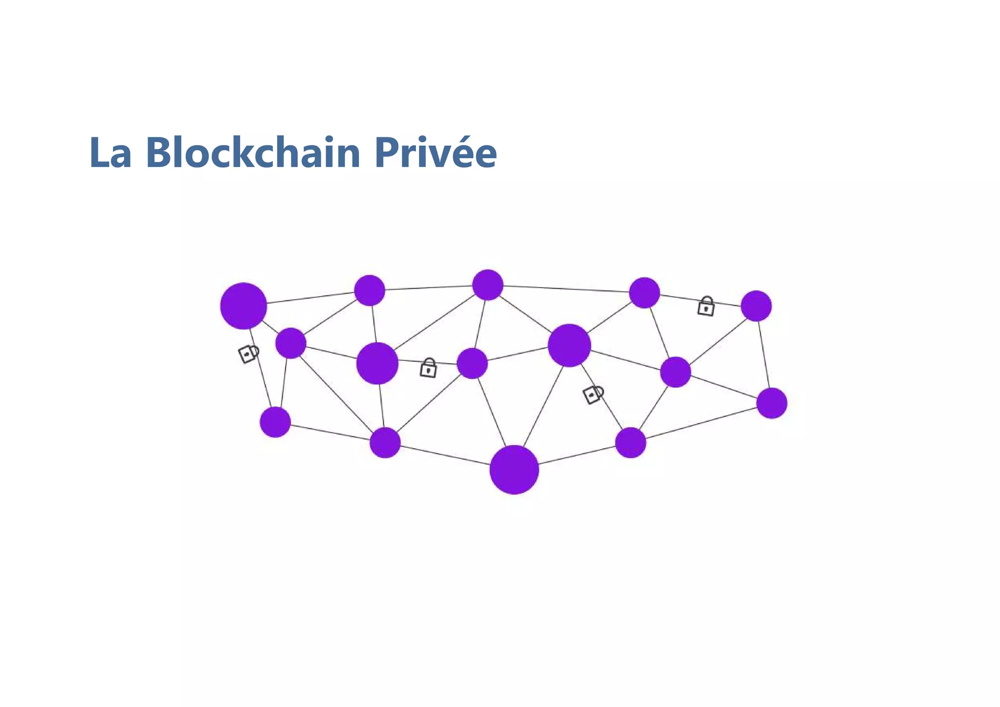La Blockchain Privée
 
