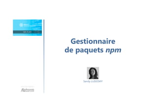 Une formation
Sandy LUDOSKY
Gestionnaire
de paquets npm
 