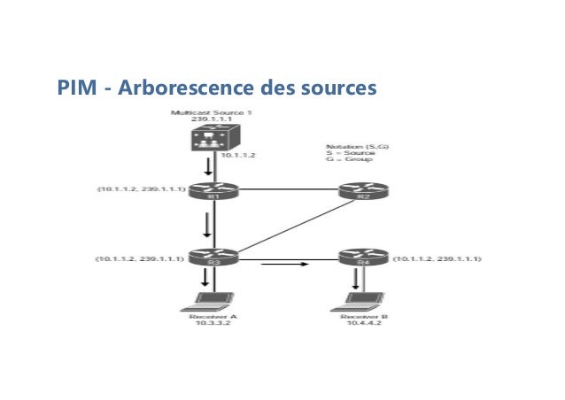 PIM - Arborescence des sources
 