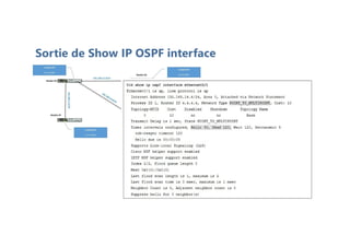 Sortie de Show IP OSPF interface
 