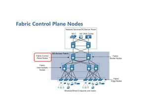 Fabric Control Plane Nodes
 