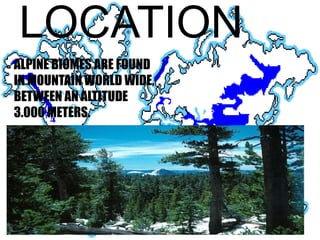 LOCATION
ALPINE BIOMES ARE FOUND
IN MOUNTAIN WORLD WIDE,
BETWEEN AN ALTITUDE
3.000 METERS.
 
