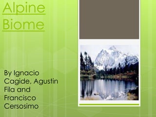 Alpine
Biome
By Ignacio
Cagide, Agustin
Fila and
Francisco
Cersosimo