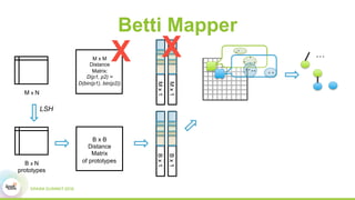 Betti Mapper
B x B
Distance
Matrix
of prototypes
M x N
Bx1
Bx1
.
. .
.. .
.
.
.
. ..
. …
LSH
M x M
Distance
Matrix:
D(p1, p2) =
D(bin(p1), bin(p2))
Mx1
Mx1
B x N
prototypes
X X
 