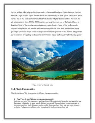 Alpine flora of pakistan | PDF