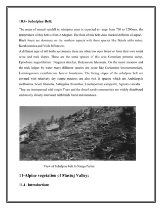 Alpine flora of pakistan | PDF