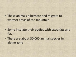 • These animals hibernate and migrate to
warmer areas of the mountain
• Some insulate their bodies with extra fats and
fur.
• There are about 30,000 animal species in
alpine zone
 