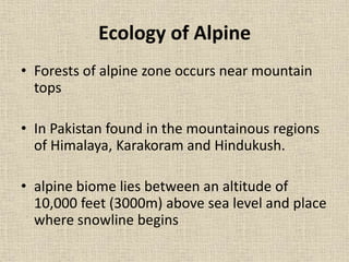 Ecology of Alpine
• Forests of alpine zone occurs near mountain
tops
• In Pakistan found in the mountainous regions
of Himalaya, Karakoram and Hindukush.
• alpine biome lies between an altitude of
10,000 feet (3000m) above sea level and place
where snowline begins
 