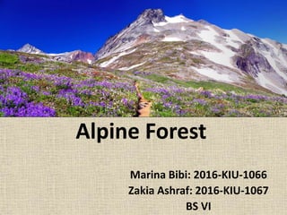 Alpine Forest
Marina Bibi: 2016-KIU-1066
Zakia Ashraf: 2016-KIU-1067
BS VI
 