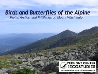 Birds and Butterflies of the Alpine Pipits, Arctics, and Fritillaries on Mount Washington 