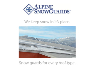 Alpine SnowGuards