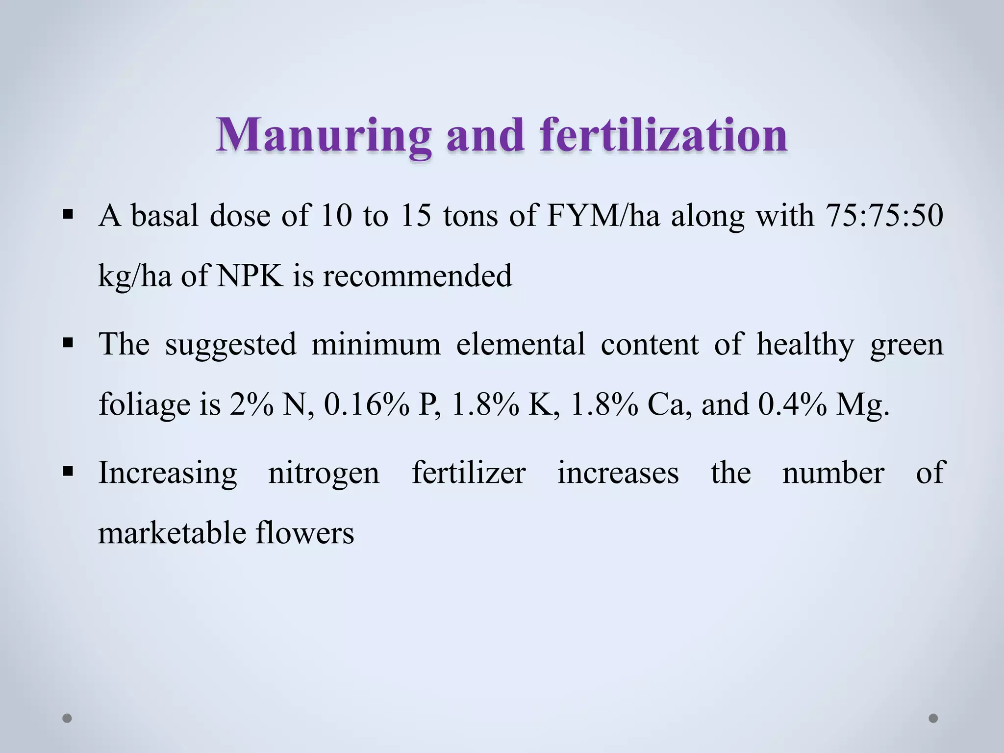 Manuring and fertilization
 A basal dose of 10 to 15 tons of FYM/ha along with 75:75:50
kg/ha of NPK is recommended
 The suggested minimum elemental content of healthy green
foliage is 2% N, 0.16% P, 1.8% K, 1.8% Ca, and 0.4% Mg.
 Increasing nitrogen fertilizer increases the number of
marketable flowers
 