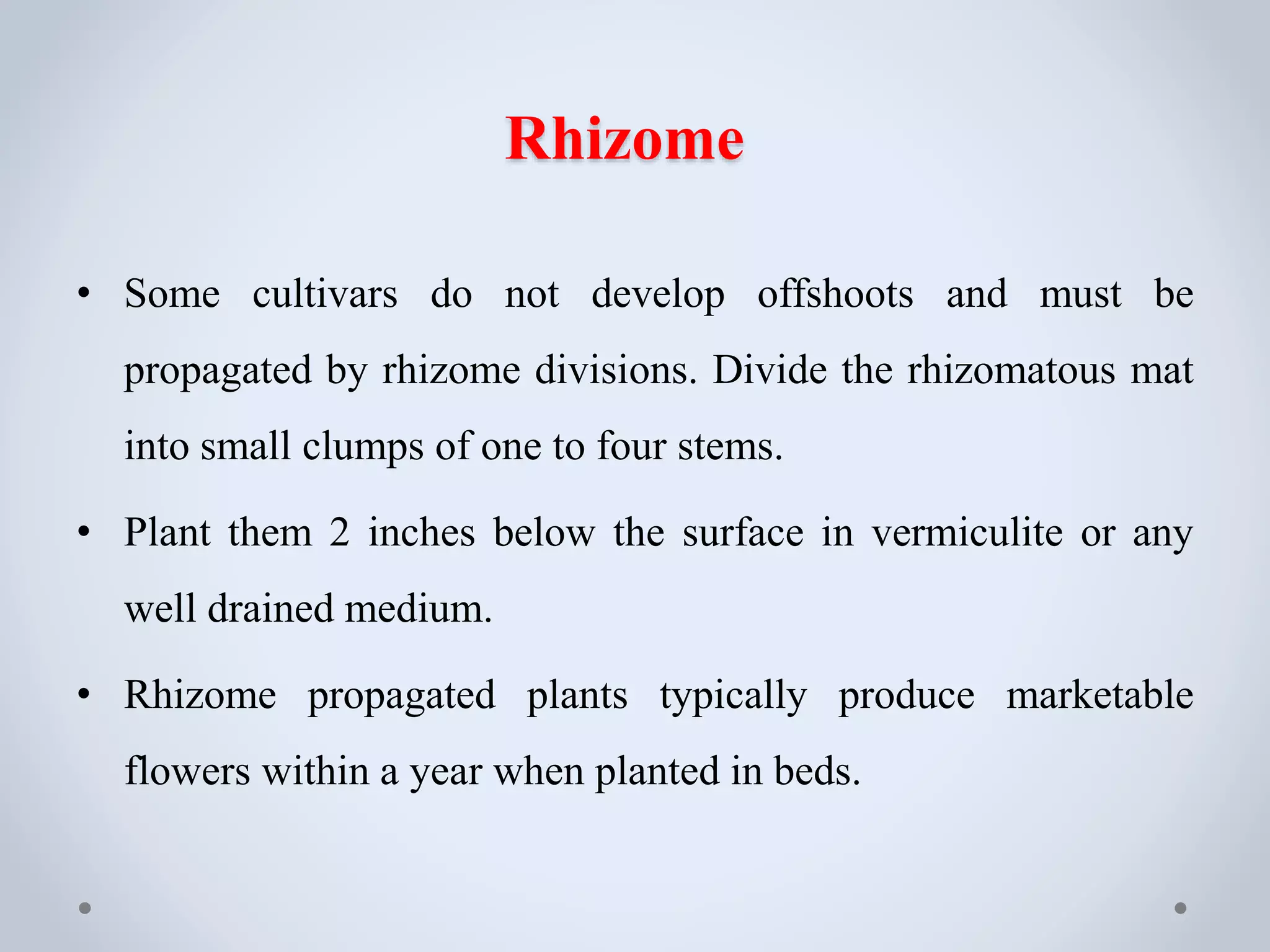 Rhizome
• Some cultivars do not develop offshoots and must be
propagated by rhizome divisions. Divide the rhizomatous mat
into small clumps of one to four stems.
• Plant them 2 inches below the surface in vermiculite or any
well drained medium.
• Rhizome propagated plants typically produce marketable
flowers within a year when planted in beds.
 