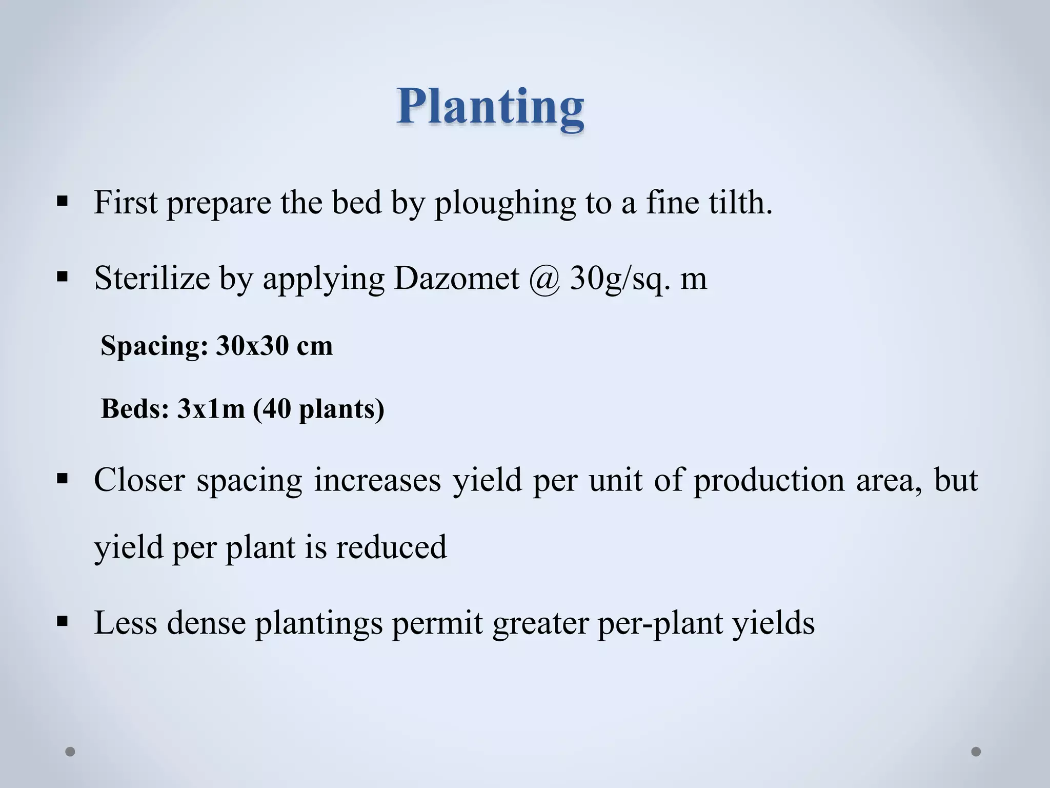 Planting
 First prepare the bed by ploughing to a fine tilth.
 Sterilize by applying Dazomet @ 30g/sq. m
Spacing: 30x30 cm
Beds: 3x1m (40 plants)
 Closer spacing increases yield per unit of production area, but
yield per plant is reduced
 Less dense plantings permit greater per-plant yields
 
