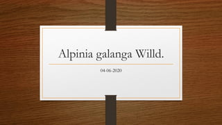 Alpinia galanga Willd.
04-06-2020
 