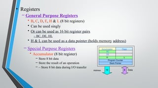 • Registers
– General Purpose Registers
• B, C, D, E, H & L (8 bit registers)
• Can be used singly
• Or can be used as 16 bit register pairs
– BC, DE, HL
• H & L can be used as a data pointer (holds memory address)
– Special Purpose Registers
• Accumulator (8 bit register)
– Store 8 bit data
– Store the result of an operation
– – Store 8 bit data during I/O transfer
Accumulator Flags
BC
DE
H L
Program Counter
Stack Pointer
Address 8 Data
16
 