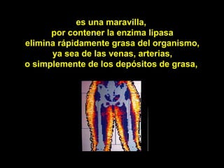 es una maravilla,
      por contener la enzima lipasa
elimina rápidamente grasa del organismo,
      ya sea de las venas, arterias,
o simplemente de los depósitos de grasa,
 