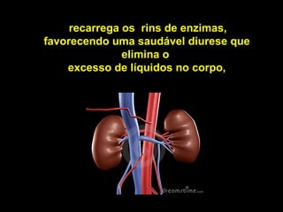 recarrega os rins de enzimas,
favorecendo uma saudável diurese que
               elimina o
    excesso de líquidos no corpo,
 