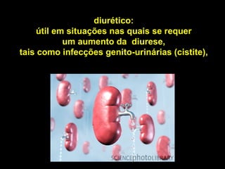 diurético:
    útil em situações nas quais se requer
           um aumento da diurese,
tais como infecções genito-urinárias (cistite),
 