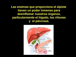 Las enzimas que proporciona el alpiste
     tienen un poder inmenso para
     desinflamar nuestros órganos,
 particularmente el hígado, los riñones
             y el páncreas,
 