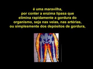 é uma maravilha,
       por conter a enzima lipasa que
     elimina rapidamente a gordura do
  organismo, seja nas veias, nas artérias,
ou simplesmente dos depósitos de gordura,
 