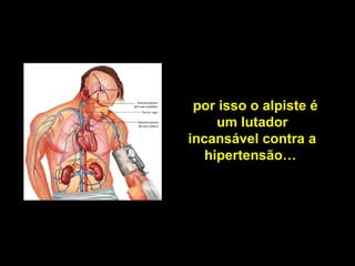 por isso o alpiste é 
um lutador 
incansável contra a 
hipertensão… 
 