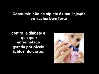 Consumir leite de alpiste é uma injeção 
ou vacina bem forte 
contra a diabete e 
qualquer 
enfermidade 
gerada por níveis 
ácidos do corpo, 
 