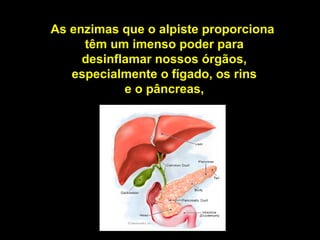 As enzimas que o alpiste proporciona 
têm um imenso poder para 
desinflamar nossos órgãos, 
especialmente o fígado, os rins 
e o pâncreas, 
 