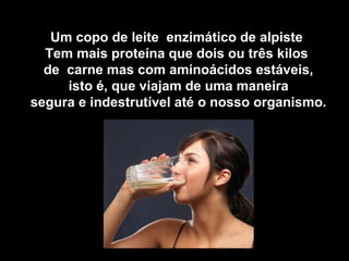 Um copo de leite enzimático de alpiste
Tem mais proteína que dois ou três kilos
de carne mas com aminoácidos estáveis,
isto é, que viajam de uma maneira
segura e indestrutível até o nosso organismo.
 