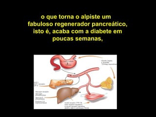 o que torna o alpiste um
fabuloso regenerador pancreático,
isto é, acaba com a diabete em
poucas semanas,
 