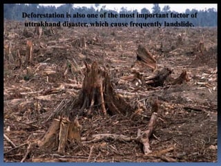 Deforestation is also one of the most important factor of
uttrakhand disaster, which cause frequently landslide.
 