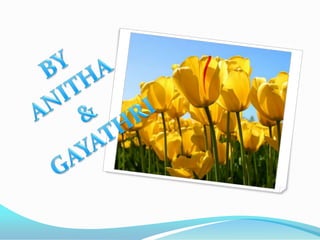 Heamodilusis (or) kidney transplantation may be necessary in severe cases of nephritics.