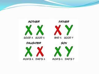 One of the important characteristic features are “HEREDITARY NEPHRITIS AND DEAFNESS”  MODE OF INHERITANCEAlport syndrome is inherited in an “X-linked” pattern due to mutations in the COL4A5 gene. In males, who have only one X chromosome one altered copy of the COL4A5 gene is sufficient to cause severe alport syndrome. In female who have two X chromosomes, a mutation in one copy of the col4A5 gene usually results in blood in the urine.Autosomal domination inheritance.