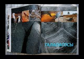 Al portfolio 2014_corp_press