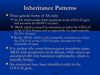 Inheritance PatternsInheritance Patterns
 Three genetic forms of AS exist:Three genetic forms of AS exist:
 XLAS, which results from mutations in theXLAS, which results from mutations in the COL4A5COL4A5 genegene
and accounts for 80-85% of cases.and accounts for 80-85% of cases.
 ARAS, which is caused by mutations in either theARAS, which is caused by mutations in either the COL4A3COL4A3
or theor the COL4A4COL4A4 gene and is responsible for approximatelygene and is responsible for approximately
10-15% of cases.10-15% of cases.
 Rarely ADAS, which is also caused by a mutation in eitherRarely ADAS, which is also caused by a mutation in either
thethe COL4A3COL4A3 or theor the COL4A4COL4A4 gene accounts for thegene accounts for the
remainder of cases.remainder of cases.
 It is unclear why some heterozygous mutations causeIt is unclear why some heterozygous mutations cause
ARAS with progressive renal disease, while others areARAS with progressive renal disease, while others are
associated with thin basement nephropathy, which isassociated with thin basement nephropathy, which is
typically benign.typically benign.
 No mutations have been identified solely in theNo mutations have been identified solely in the
COL4A6COL4A6 gene.gene.
 
